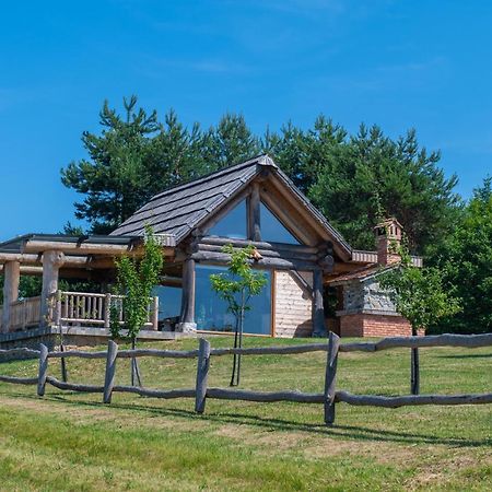 Holiday Home Ernest Zelezni With Hot Tub Ivancna Gorica Εξωτερικό φωτογραφία